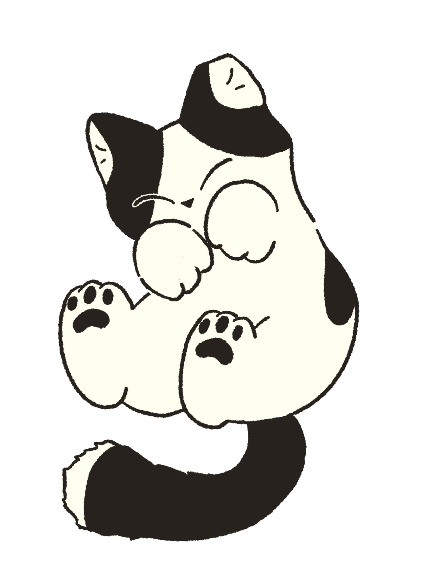Amichi illustration